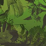Floral brushes