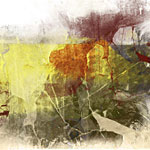 Abstract brushes