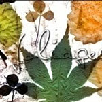 Foliage brushes