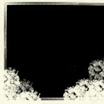 Frames brushes