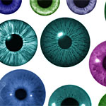 Iris brushes