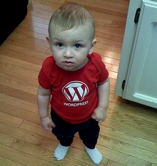 wordpress-principiantes